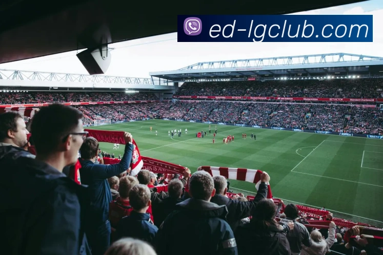 老哥俱乐部官网平台生态图