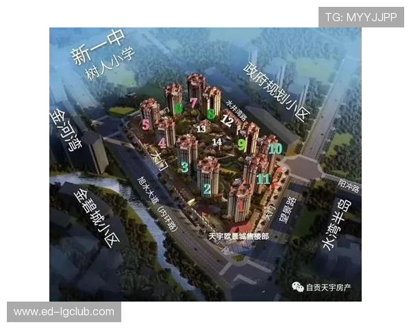 全面解析浩瀚足球运动馆综合实力与服务品质全方位深度评价全景呈